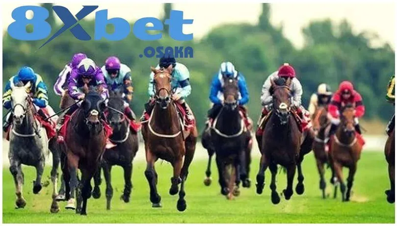 Cách cá cược đua ngựa hiệu quả