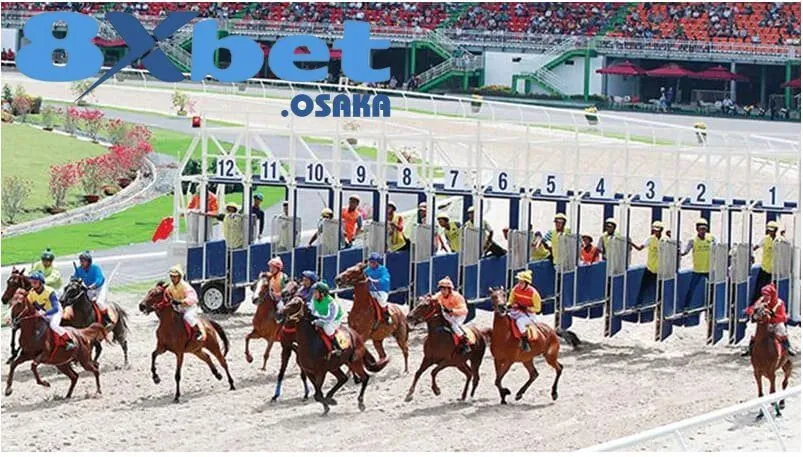 Tìm hiểu về các loại cá cược đua ngựa