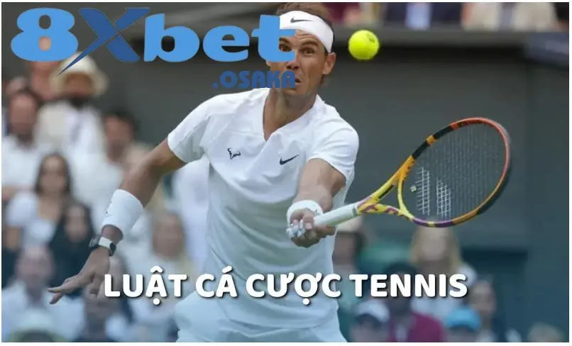 Cá Cược Tennis Và Cách Bắt Kèo Chuẩn Xác Tại 8Xbet 4 Ghi nhớ những quy tắc cơ bản trong cá cược tennis