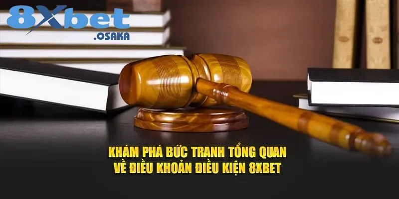 Khám phá tổng quan về Điều khoản sử dụng 8Xbet