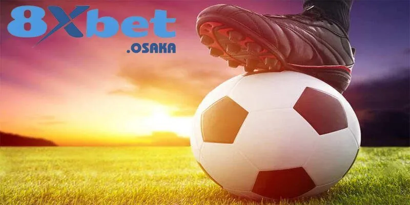 Cách hiểu kèo chấp nửa trái dành cho người mới bắt đầu