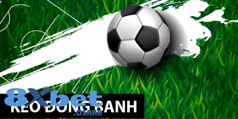 Khám Phá Kèo Đồng Banh: Hướng Dẫn Đặt Cược Chuẩn Xác 5 Kinh nghiệm soi kèo đồng banh là gì đỉnh cao nhất