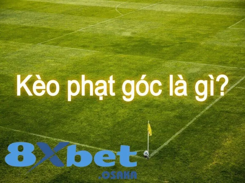 soi kèo phạt góc như nào